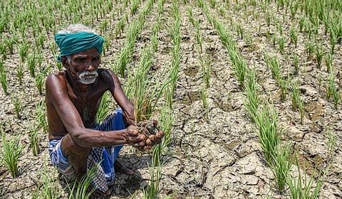 டெல்டா விவசாயிகளின் வயிற்றில் அடிக்கும் திமுக அரசு: இபிஎஸ், ஓபிஎஸ், அன்புமணி கண்டனம்