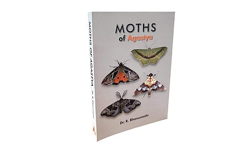 அந்தியில் வரும் வானவில் துண்டுகள்