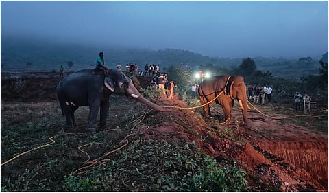 கோவையில் மக்களை அச்சுறுத்திவந்த ‘ரோலக்ஸ்’ காட்டு யானை பிடிபட்டது