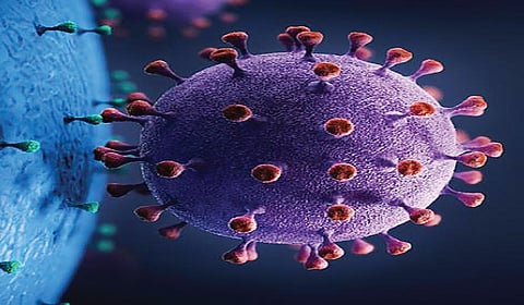 ஏன் கிருமிகளில் இருந்து மருந்து தயாரிக்கிறார்கள்? | டிங்குவிடம் கேளுங்கள்