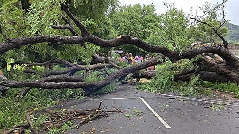 திருப்பத்தூர் மழை பாதிப்பு: மூதாட்டி உயிரிழப்பு, 16 வீடுகள் சேதம்