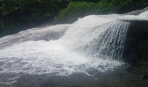 கோவை குற்றாலம் அருவியில் வெள்ளப் பெருக்கு - சுற்றுலா பயணிகளுக்கு தடை