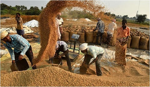 நெல் கொள்முதலில் அரசின் நிலைப்பாடு குறித்து வெள்ளை அறிக்கை வெளியிட வேண்டும் : தமிழக பாஜக