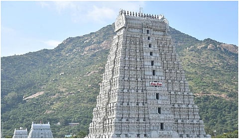 திருவண்ணாமலை | கோப்புப் படம்