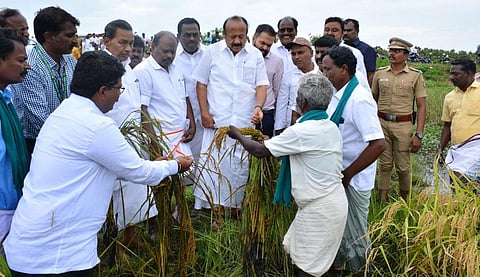 டெல்டாவில் பாதித்த குறுவை நெற்பயிர்கள் குறித்து விரைந்து கணக்கெடுப்பு: அமைச்சர் தகவல்