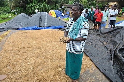தமிழகத்தில் நெல் கொள்முதலுக்கான ஈரப்பத அளவு நிர்ணயம்: மத்திய குழுக்கள் இன்று முதல் ஆய்வு