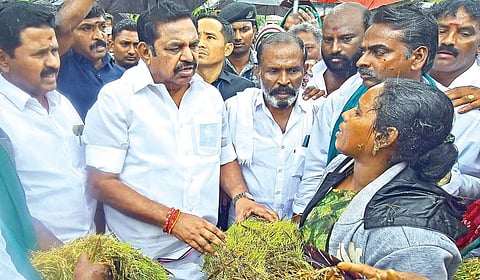 காட்டூர் கொள்முதல் நிலையத்துக்கு வந்த எதிர்க்கட்சித் தலைவர் பழனிசாமியிடம், வயலிலேயே நெல்மணிகள் முளைவிட்ட நெற்கதிர்களை காட்டும் பூங்கொடி.