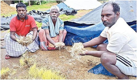 பிரதிநிதித்துவப் படம்.