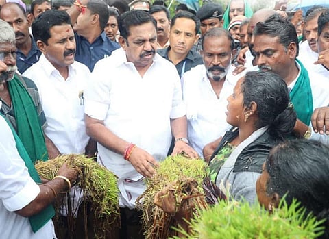 ‘பைசன்’ பார்க்க நேரம் இருக்கிறது; விவசாயிகளை பார்க்க நேரமில்லையா? - முதல்வருக்கு இபிஎஸ் கேள்வி