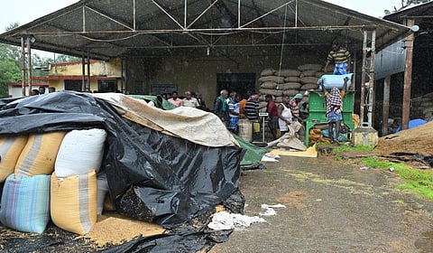 நெல் கொள்முதலில் சிக்கல்கள்: தேவை நிரந்தரத் தீர்வு!