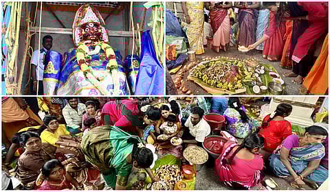 படங்கள்: நா.தங்கரத்தினம்