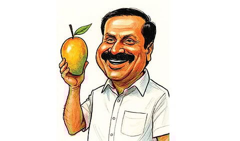 பிஹார் தேர்தலை காட்டி ‘மாம்பழத்தை’ பெற்ற அன்புமணி - தேர்தல் ஆணையத்தில் ராமதாஸ் முறையீடு