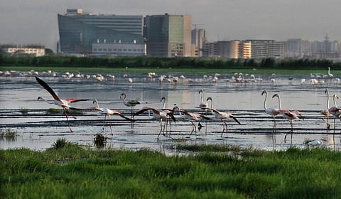 கோப்புப் படம்