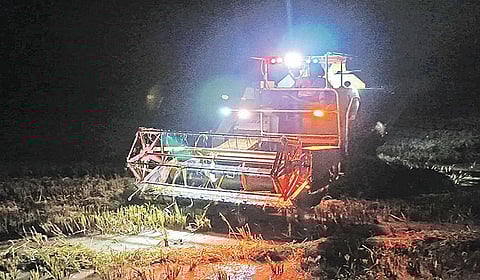 சுந்தரபாண்டியம் பகுதியில் இரவு நேரத்தில் இயந்திரம் மூலம் மேற்கொள்ளப்பட்ட நெல் அறுவடை.