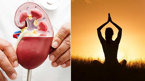 நாள்பட்ட சிறுநீரக நோயாளிகளுக்கு ஒருங்கிணைந்த யோகா, இயற்கை மருத்துவத்தால் 28 நாளில் தீர்வு: ஆய்வுத் தகவல்