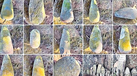 ஜவ்​வாது மலை​யில் கண்​டெடுக்​கப்​பட்ட 5,000 ஆண்​டு​களுக்கு முந்​தைய புதிய கற்​காலக் கற்​கருவிகள்.