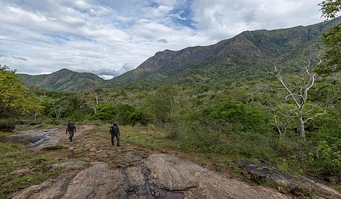 மலையேற்ற பாதைகளை 50-ஆக உயர்த்த நடவடிக்கை