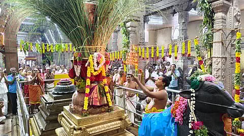 கோவில்பட்டி செண்பகவல்லி அம்மன் கோயிலில் ஐப்பசி திருக்கல்யாண திருவிழா இன்று காலை கொடியேற்றத்துடன் தொடங்கியது. 