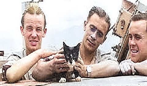 மீண்டும் மீண்டும் உயிர்த்தெழுந்த பூனை! | வரலாறு முக்கியம் மக்களே! - 23