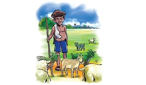 மண்ணுத்தின்னி | மயில்கள் அகவும் பெருநிலம் 05