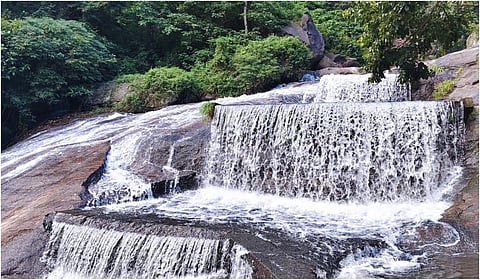 கோவை குற்றாலம் செல்ல நாளை முதல் அனுமதி - வனத்துறை அறிவிப்பு