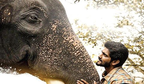 மீண்டும் ‘கும்கி’ - கவனம் ஈர்க்கும் அம்சம் என்ன?