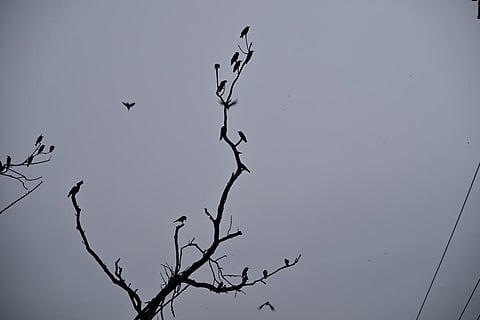 கோப்புப் படம்