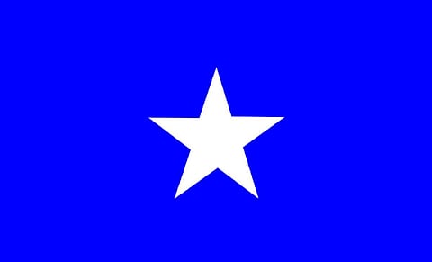 ராஜாஜியின் சுதந்திரா கட்சிக் கொடி