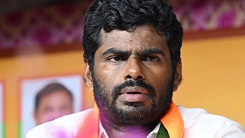 எஸ்ஐஆர் படிவத்தில் சந்தேகங்கள் - அண்ணாமலை கூறுகிறார்