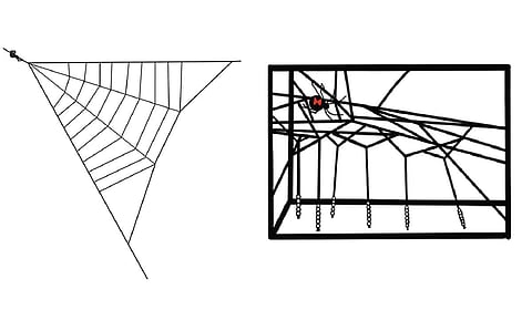 சிலந்தி வலையும் கவண் வில்லும் | இயற்கையில் அறிவியல் 06