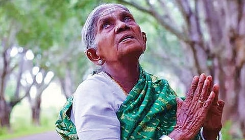 மரங்களின் தாய் | அஞ்சலி