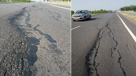 படங்கள்: சி.எஸ்.ஆறுமுகம்