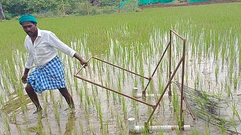 ரூ.2,900-க்கு களையெடுக்கும் கருவியை உருவாக்கி அசத்தும் இயற்கை விவசாயி சிவராமன்!