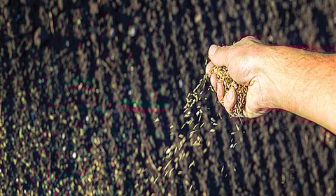 விதைச்சட்ட முன்வரைவு 2025: உழவர்களுக்கு உதவுமா?