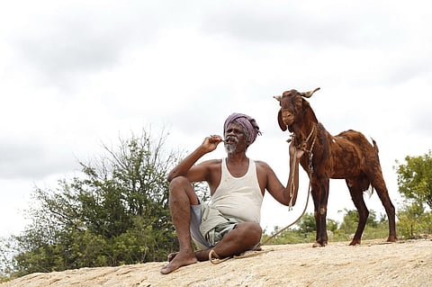 ஒண்டி முனியும் நல்ல பாடனும்: திரைப் பார்வை - சாதியின் பசியும், சடங்கின் அரசியலும்!