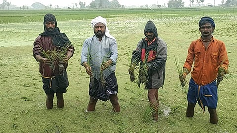 டெல்டா மாவட்டங்களில் கொட்டித் தீர்த்த கனமழை: 1.40 லட்சம் ஏக்கர் சம்பா, தாளடி பயிர்கள் நீரில் மூழ்கின