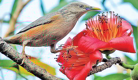 உயிர்பெறும் புது உலகம் | ஆயிரம் மலர்களே மலருங்கள் 14