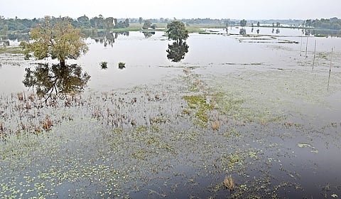 குளங்கள் ஆக்கிரமிப்பு: வெள்ளத்தின் அறிகுறி