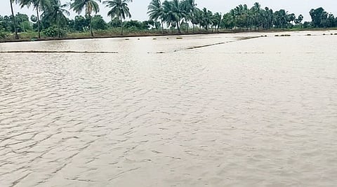 கடலூரில் விடிய விடிய கனமழை: விளைநிலங்களை நீர் சூழ்ந்ததால் விவசாயிகள் கவலை
