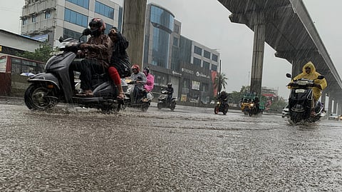 படம்: லென்ஸ் சீனு