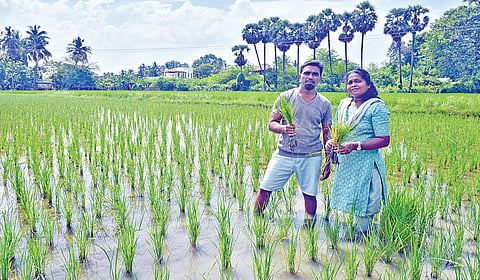 விவசாயம் என்பது ஒரு தொழில் அல்ல; அது ஒரு வாழ்வியல் முறை