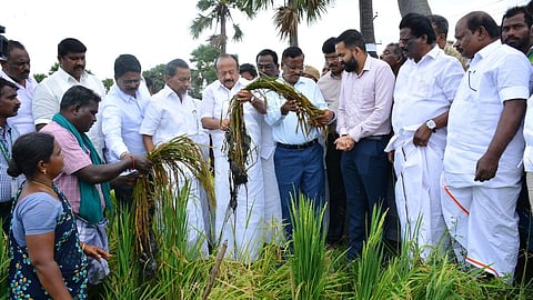 பயிர் பாதிப்பை கணக்கெடுத்து டிசம்பர் இறுதிக்குள் நிவாரணம் வழங்க நடவடிக்கை