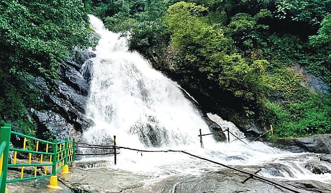 ஆழியாறு கவியருவியில் நேற்று ஆர்ப்பரித்து கொட்டிய காட்டாற்று வெள்ளம். 