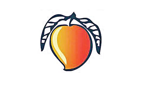 பாமக விவகாரத்தில் இருதரப்பும் உரிமை கோரினால் மாம்பழம் சின்னம் முடக்கப்படும்: தேர்தல் ஆணையம்