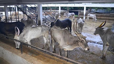 கோப்புப்படம்