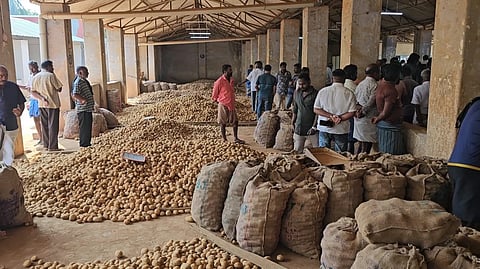 உரிய விலை கிடைக்காததால் விவசாயிகள் போராட்டம்: மேட்டுப்பாளையம் மண்டியில் 300 டன் உருளைக்கிழங்கு தேக்கம்