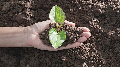 உணவுப் பாதுகாப்பை உறுதிசெய்யும் உயிர்ப்பன்மை 