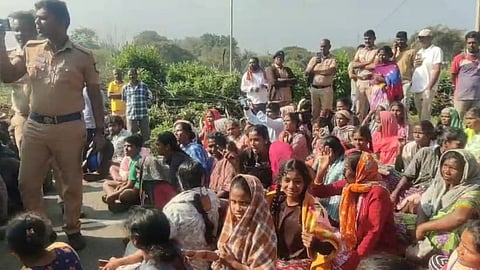 நீலகிரியில் பெண்ணைக் கொன்ற ஆண் புலி கூண்டுக்குள் சிக்கியது!