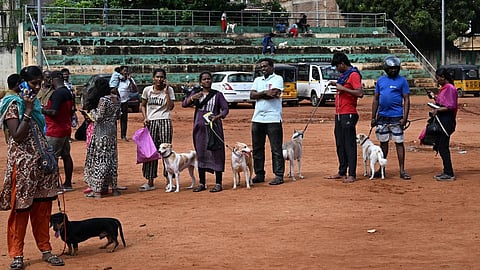 செல்லப் பிராணிகளுக்கு உரிமம் வழங்கும் முகாம் தொடக்கம்: 8 இடங்களில் நடைபெறுகிறது
