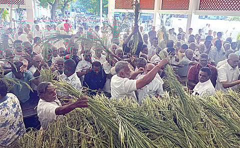 ராஜபாளையத்தில் கொத்தலு பண்டிகைக்காக சாமைக் கதிர்களை எடுத்துச் சென்ற ராஜுக்கள் சமூகத்தினர்.